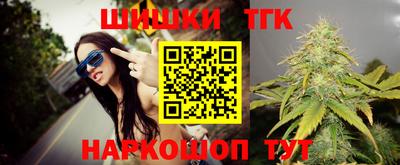 тгк Бердск
